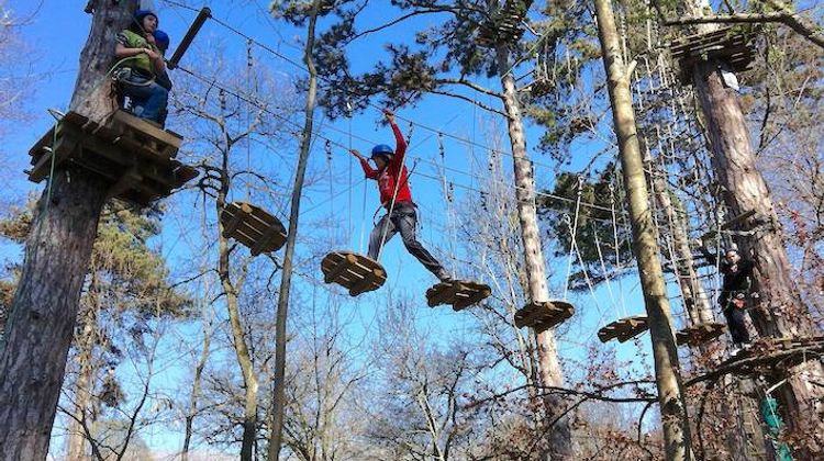 VIVEMENT - Chloro’Fil prépare un parc acrobatique aux portes de Tarbes